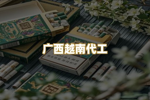 广西越南代工